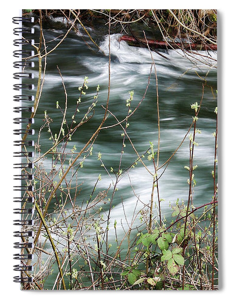 Whatcom Creek Spiral Notebook featuring the photograph On the Bank of Whatcom Creek by Cheryl Rose