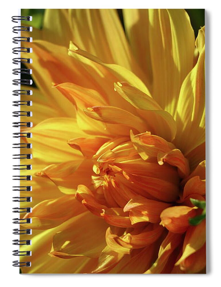 Yellow Sun Spiral Notebook featuring the photograph On The Bright Side by Christiane Schulze Art And Photography