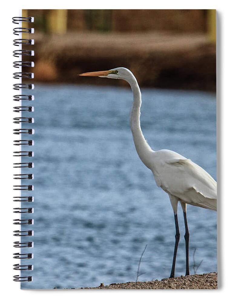 Arizona Spiral Notebook featuring the photograph On The Hunt by Robert Bales