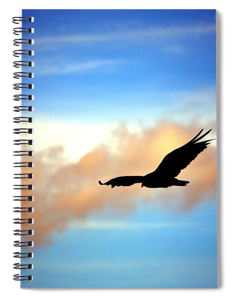 Vulture Spiral Notebook featuring the photograph On the Prowl by Dani McEvoy