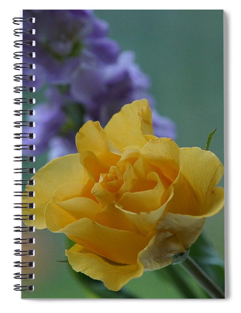 Floral Spiral Notebook featuring the photograph On the window sill. by Elena Perelman