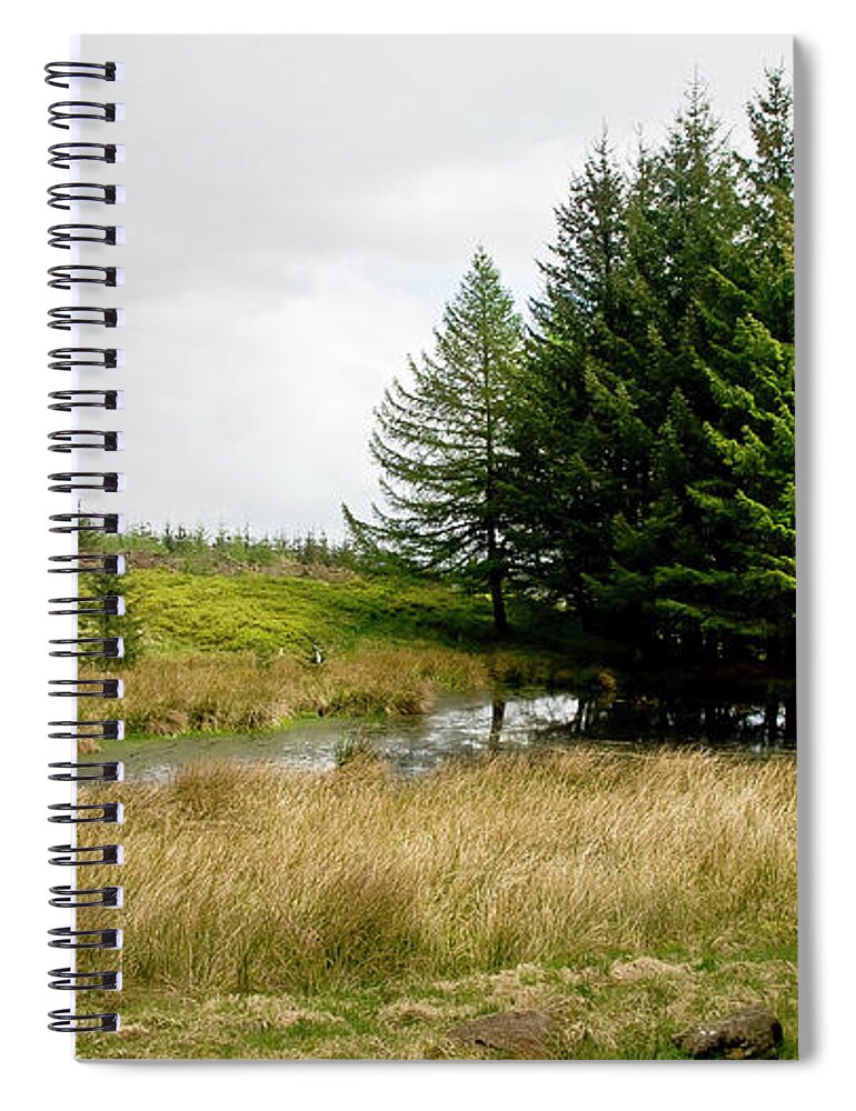 Woods Spiral Notebook featuring the photograph On the Woodland edge by Elena Perelman