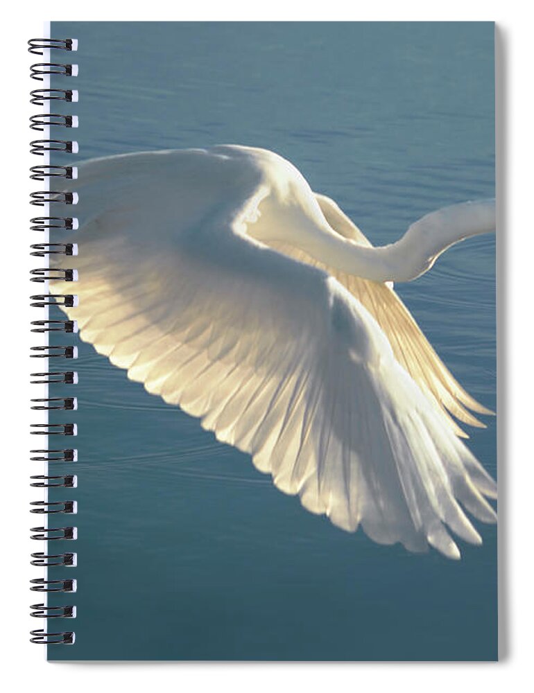 Wildlife Spiral Notebook featuring the photograph On Wings of Splendor by Brian Tada