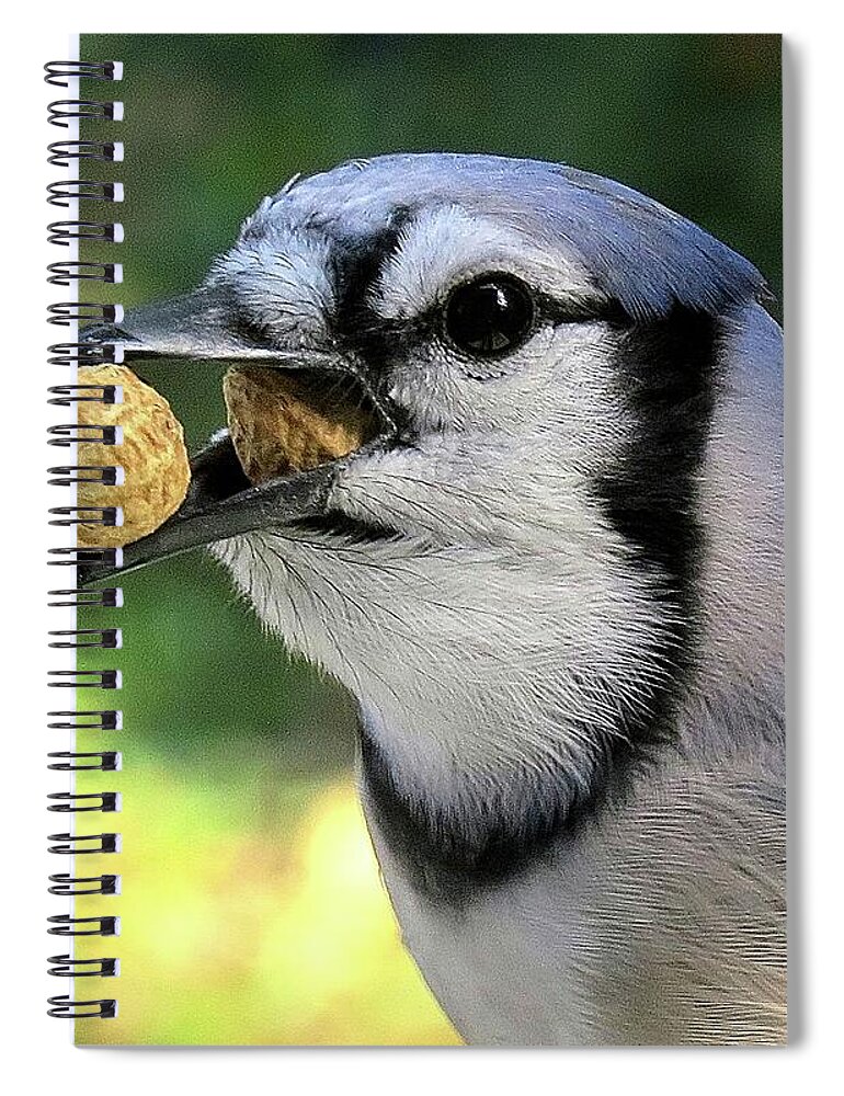 Blue Jay Spiral Notebook featuring the photograph One for the Road by Linda Stern