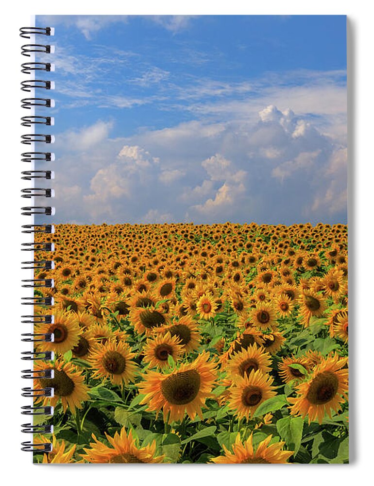Personality Spiral Notebook featuring the photograph One in a Million by Rob Davies