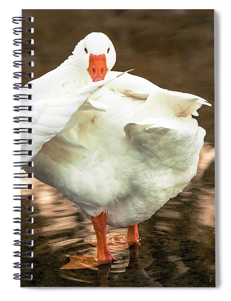 Photograph Spiral Notebook featuring the photograph One Million Dollars by Jason Hughes