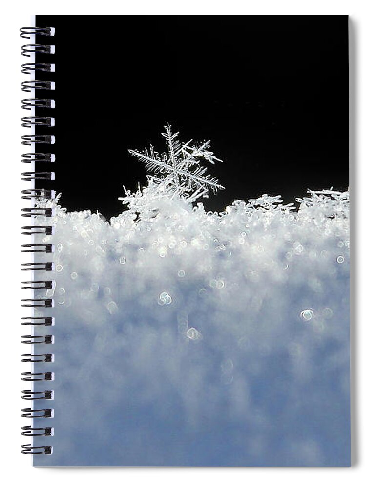 Snow Spiral Notebook featuring the photograph One of a Kind by Penny Meyers