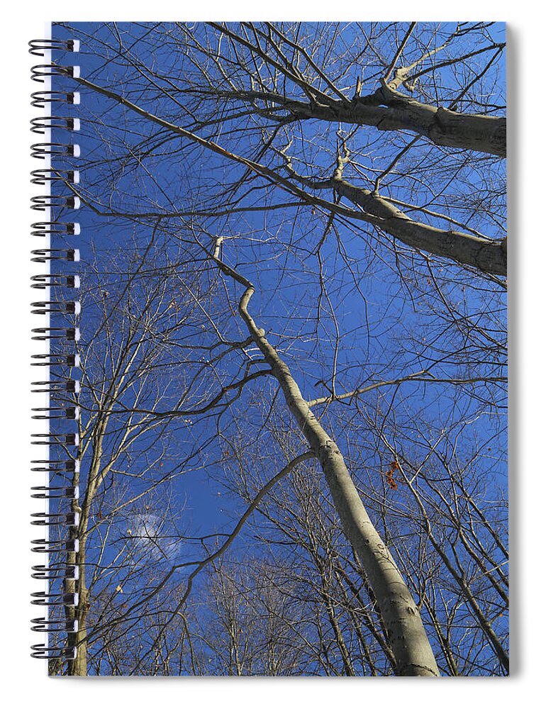 Trees Spiral Notebook featuring the photograph One Tiny Cloud 021218 by Mary Bedy