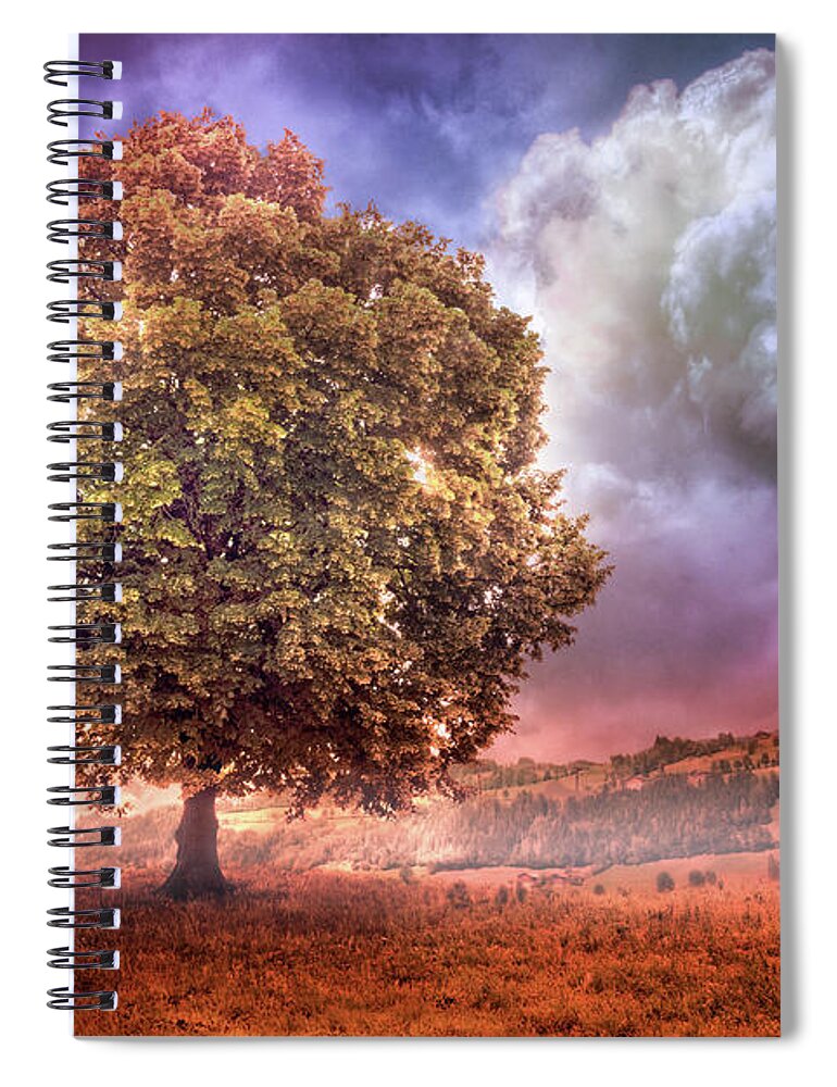 Appalachia Spiral Notebook featuring the photograph One Tree in the Meadow by Debra and Dave Vanderlaan