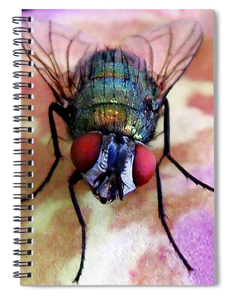 Fly Spiral Notebook featuring the photograph One with Fly Boy by Jennie Breeze