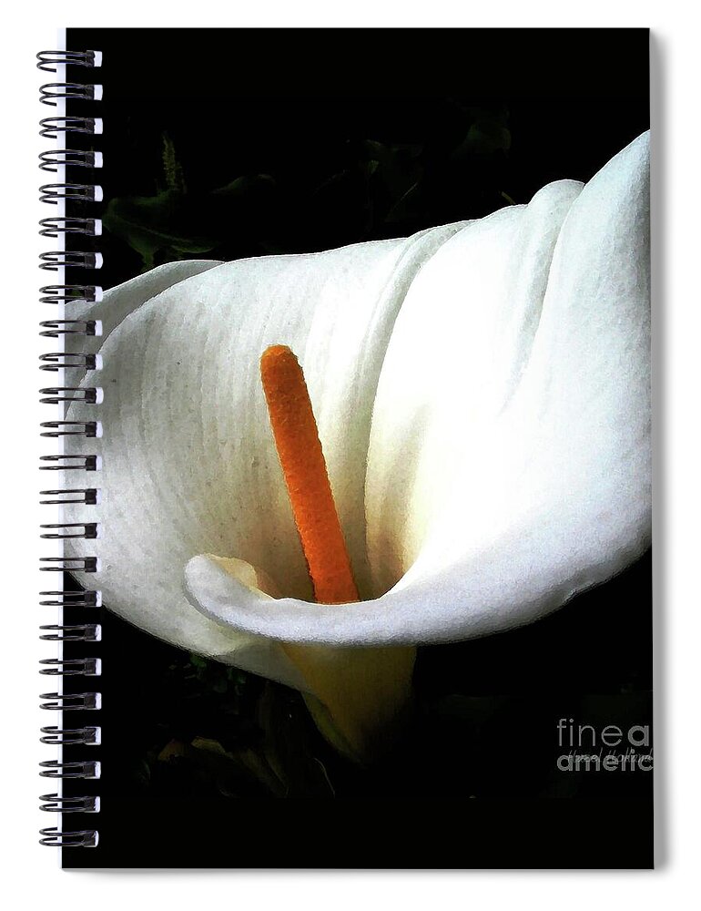 Calla Lily Spiral Notebook featuring the photograph The Light Dispels Darkness by Hazel Holland