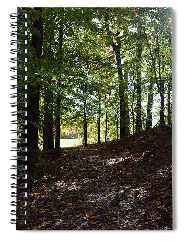  Spiral Notebook featuring the sculpture Onto the Unknown by R Allen Swezey