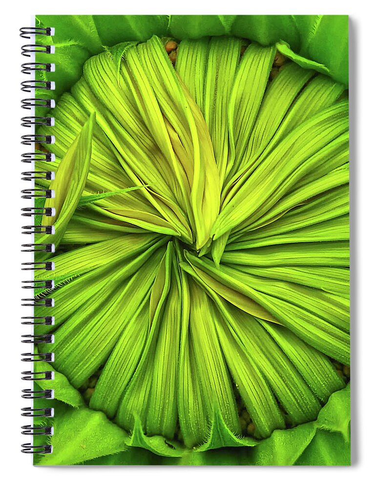 Sunflower Spiral Notebook featuring the photograph Opening soon by Tatiana Travelways