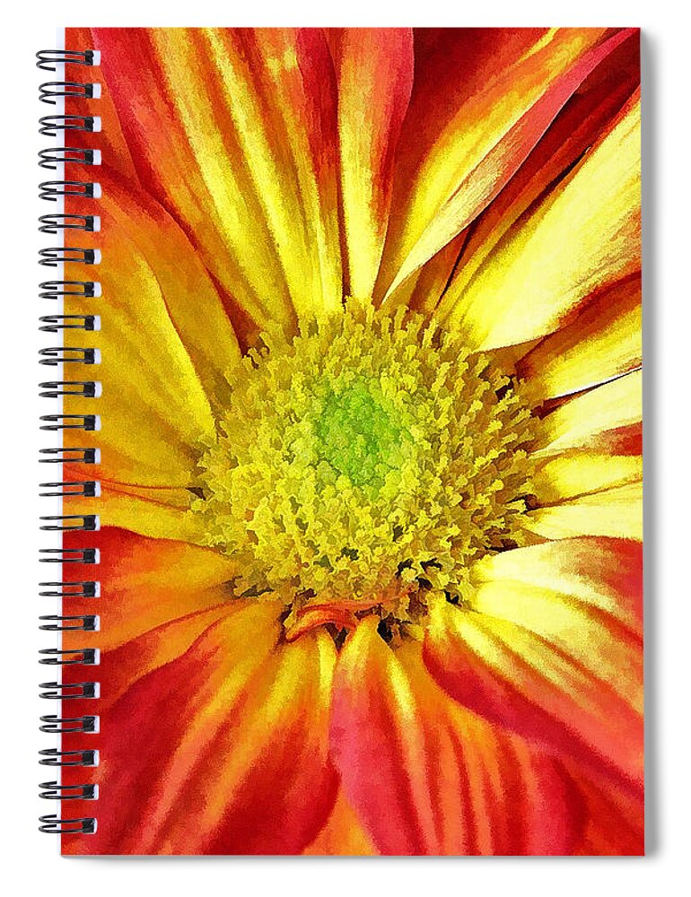 Flower Spiral Notebook featuring the photograph Orange Burst by Allen Beatty
