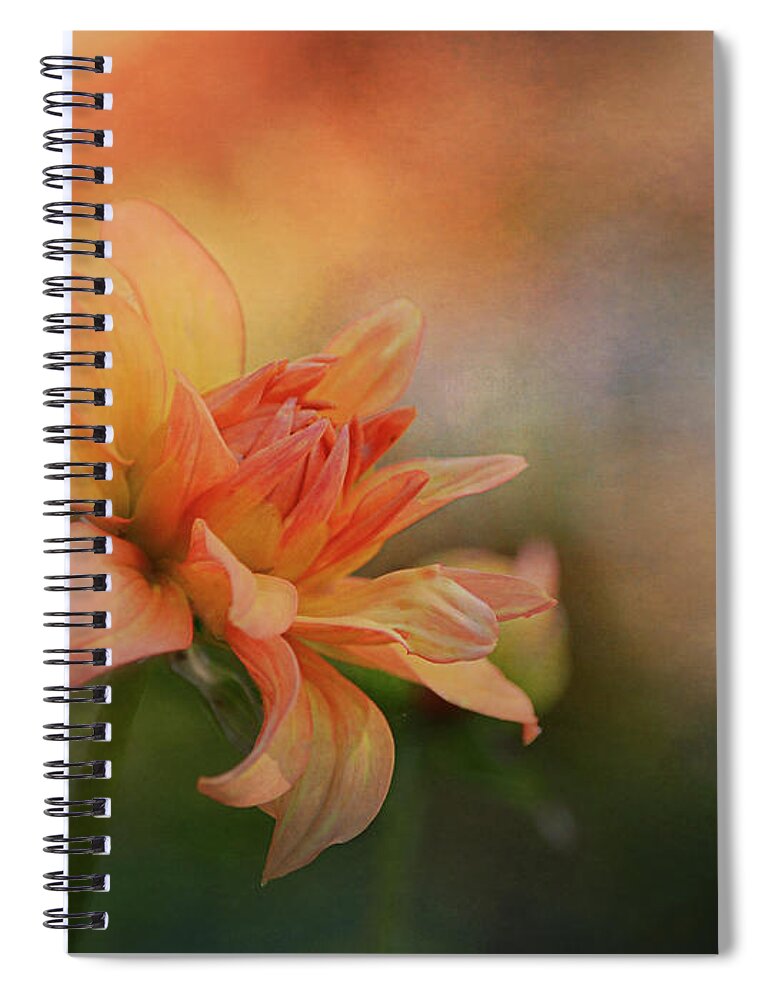 Sunset Spiral Notebook featuring the photograph Orange Dahlia Under The Sun by Maria Angelica Maira