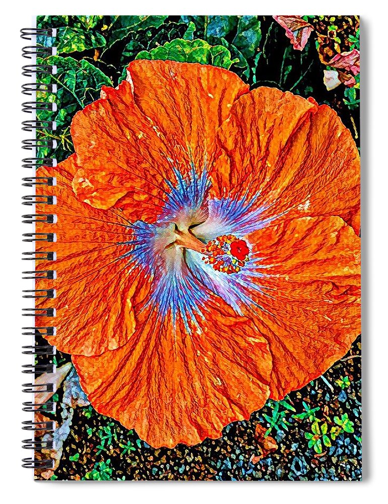 #flowersofaloha #flowers # Flowerpower #aloha #hawaii #aloha #puna #pahoa #thebigisland #orangehibiscus Spiral Notebook featuring the photograph Orange Hibiscus for Ikiaka by Joalene Young