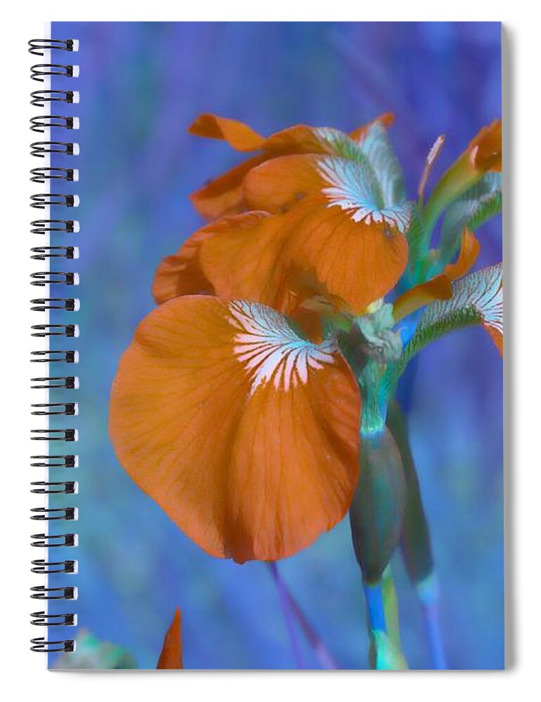 Whimsy Spiral Notebook featuring the photograph Orange Iris by Cathy Mahnke