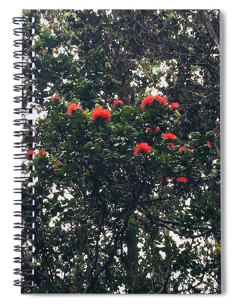 Orange Flower Ohia Lehua Flower Spiral Notebook featuring the photograph Orange Ohia Lehua on my morning walk by Lehua Pekelo-Stearns