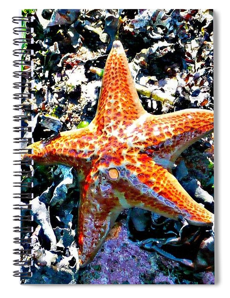 Starfish Spiral Notebook featuring the photograph Orange Starfish by 'REA' Gallery