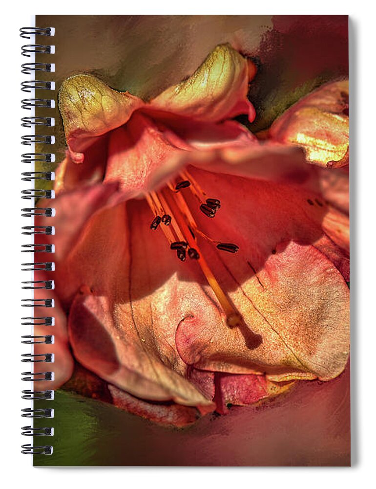 Orange Trio Spiral Notebook featuring the photograph Orange trio #h5 by Leif Sohlman