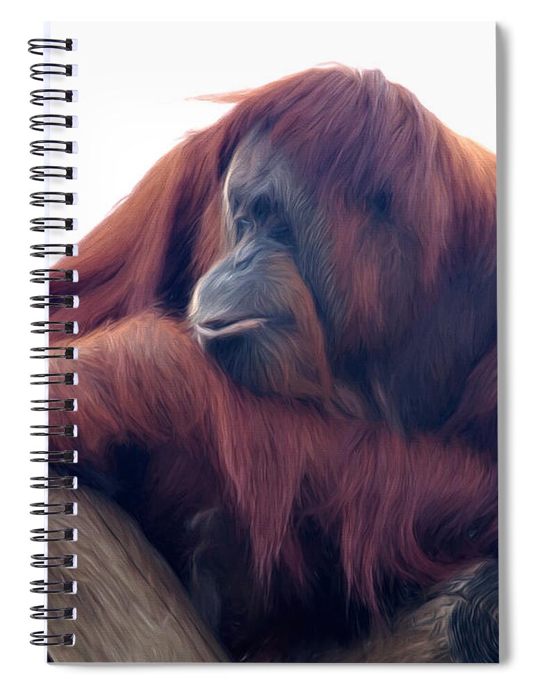 Animal Spiral Notebook featuring the photograph Orangutan - Color Version by Lana Trussell
