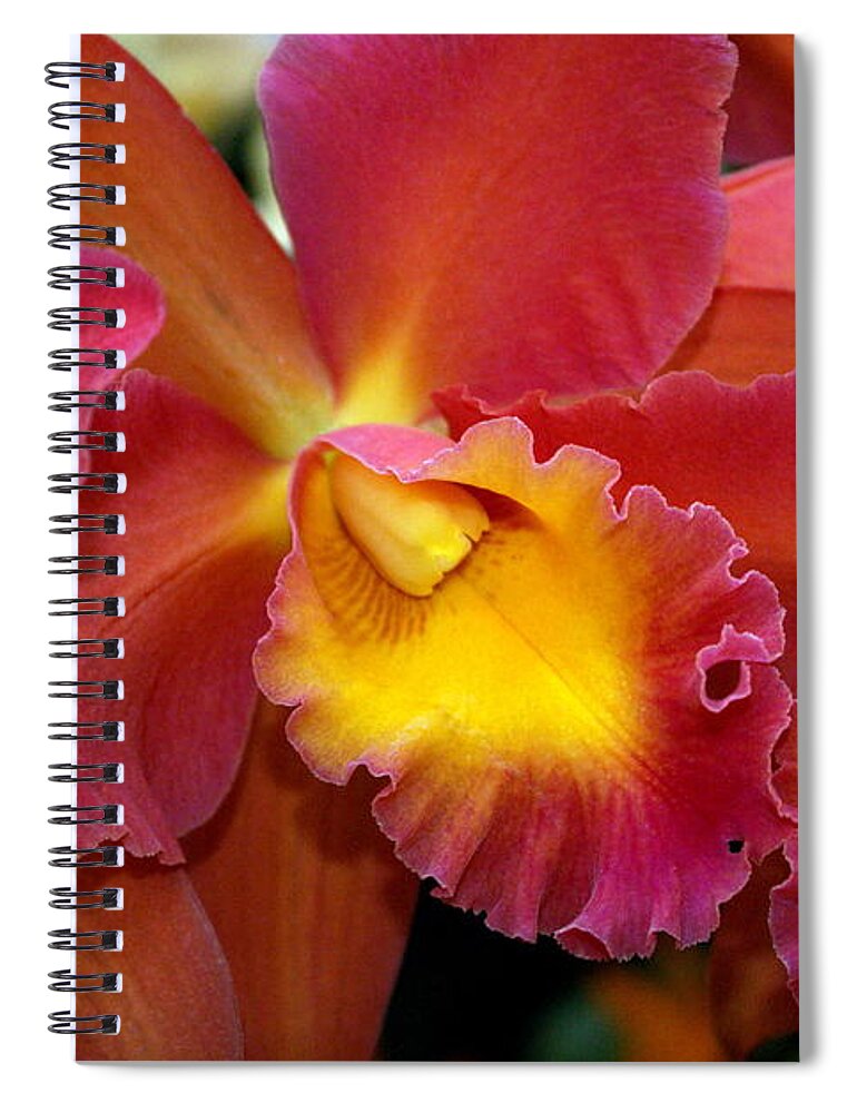 Flower Spiral Notebook featuring the photograph Orchid 8 by Marty Koch