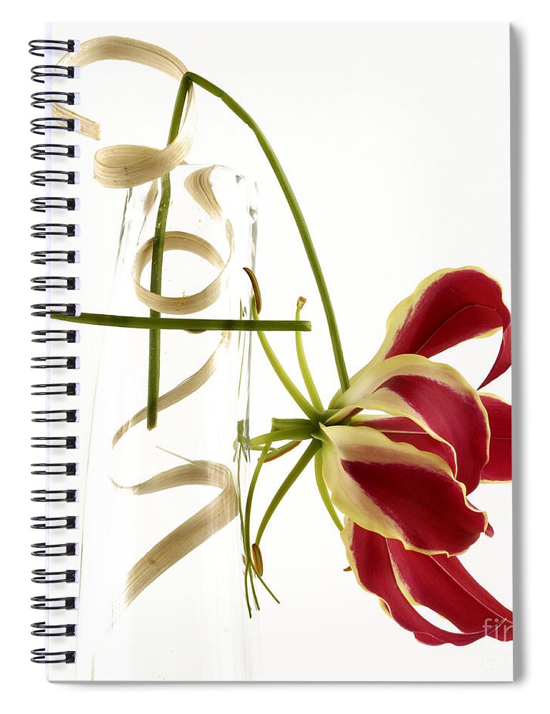 Bloom Spiral Notebook featuring the photograph Orchid by Bernard Jaubert