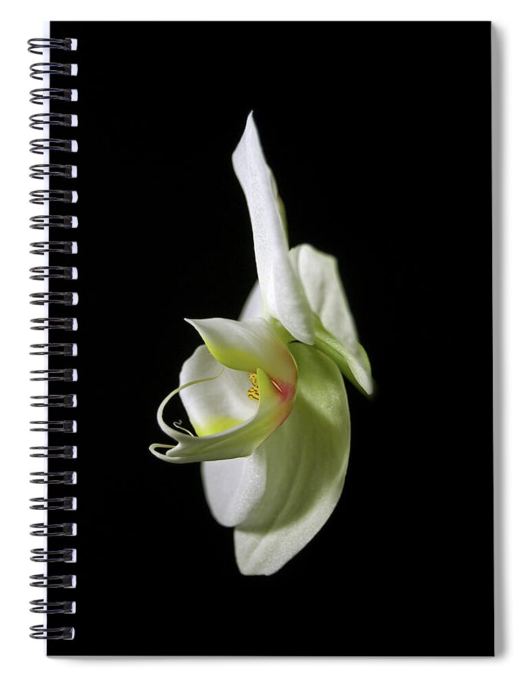 Photography Spiral Notebook featuring the photograph Orchid by Elsa Santoro
