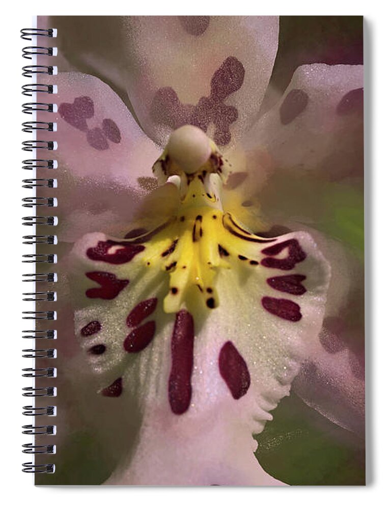 Selby Macro Spiral Notebook featuring the photograph Orchid Mysterious by Richard Goldman