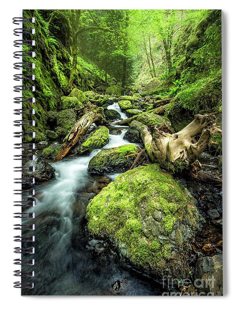  Oregon Spiral Notebook featuring the photograph Oregon Stream 1 by Timothy Hacker