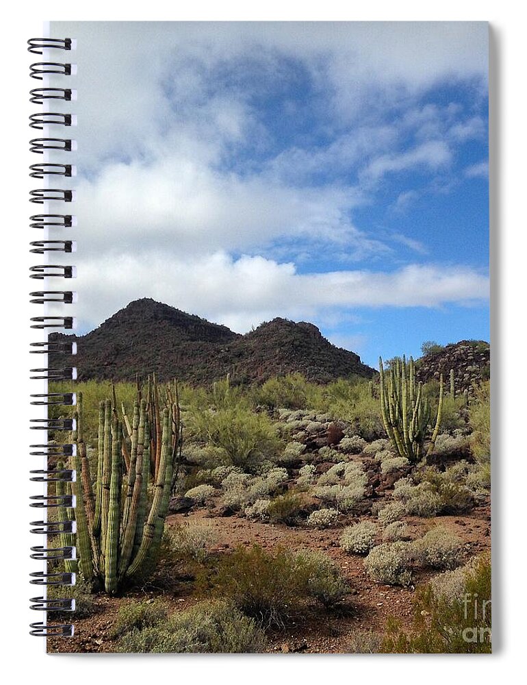 Landscape Spiral Notebook featuring the photograph Organ Pipe Heaven by Jeff Hubbard