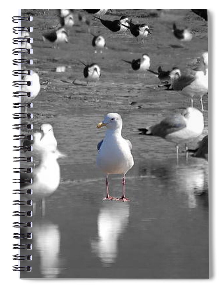 Bird Spiral Notebook featuring the photograph Originality or Imitation by Maria Aduke Alabi