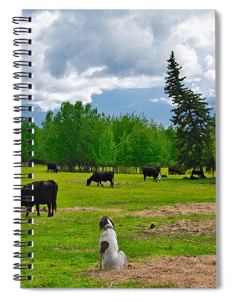 Cow Spiral Notebook featuring the photograph Out in the Pasture by Cathy Mahnke
