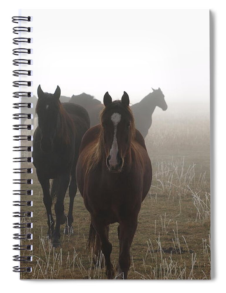 Animals Spiral Notebook featuring the photograph Out Of The Mist by DeeLon Merritt