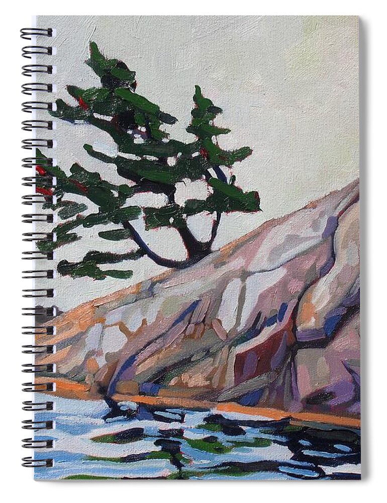 903 Spiral Notebook featuring the painting Out of The Rock by Phil Chadwick