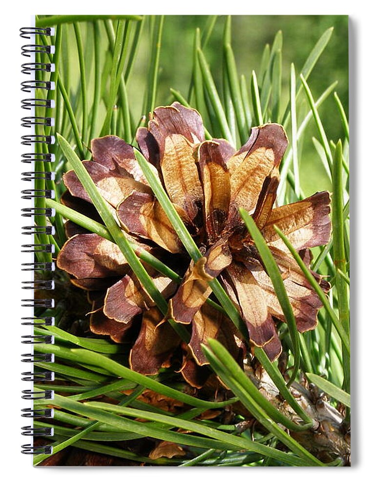 Tree Spiral Notebook featuring the photograph Out On A Limb by DeeLon Merritt