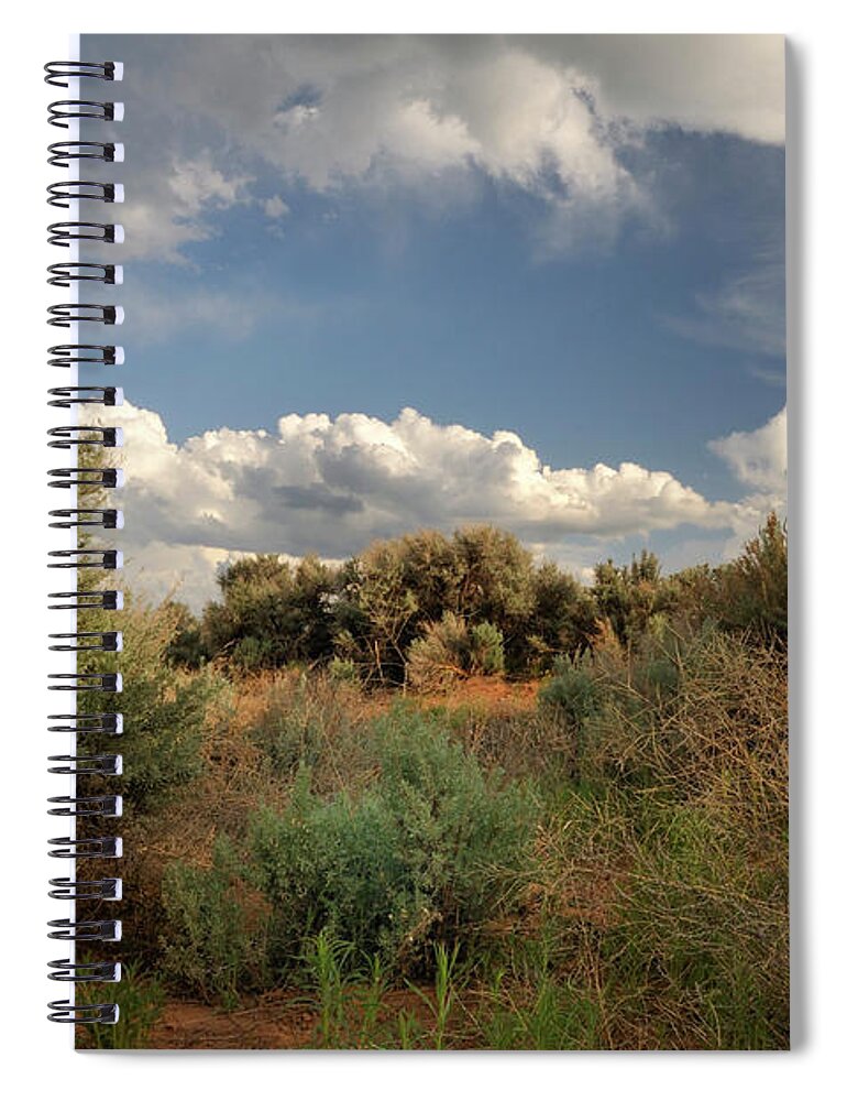 Landscape Spiral Notebook featuring the photograph Out On The Mesa 4 by Ron Cline