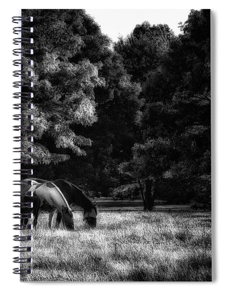 Horse Spiral Notebook featuring the photograph Out To Pasture BW by Mark Fuller