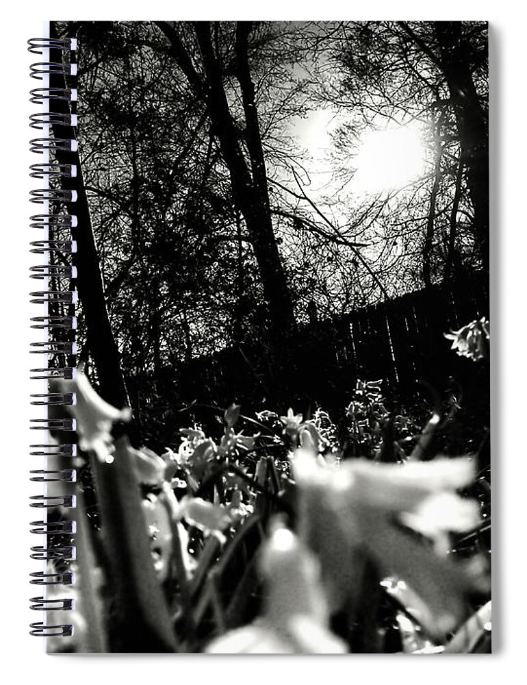 Landscape Spiral Notebook featuring the photograph Over The Fence in Black and White by Morgan Carter