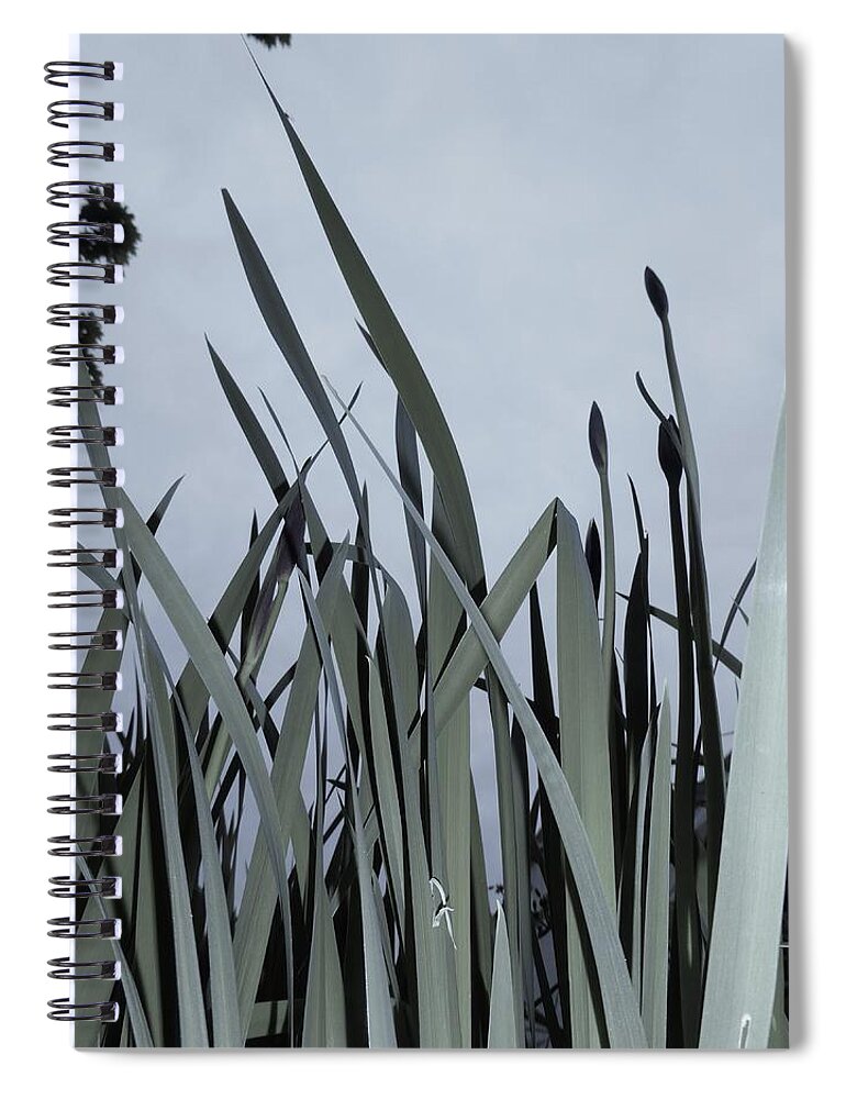 Orchid Spiral Notebook featuring the photograph Over There by Leon DeVose