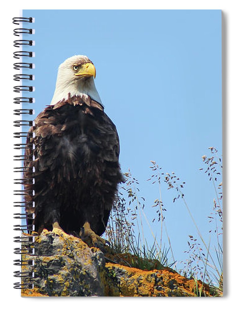 Eagle Spiral Notebook featuring the photograph Overseer by Holly Ross