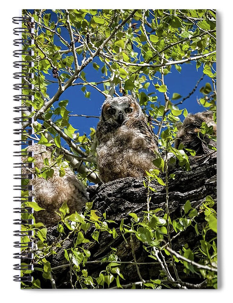 Owl Be With You In A Moment Spiral Notebook featuring the photograph Owl Be With You In A Moment by Jon Burch Photography