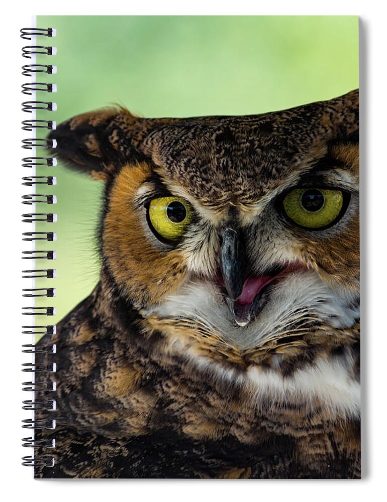 Owl Spiral Notebook featuring the photograph Owl Tongue by Douglas Killourie