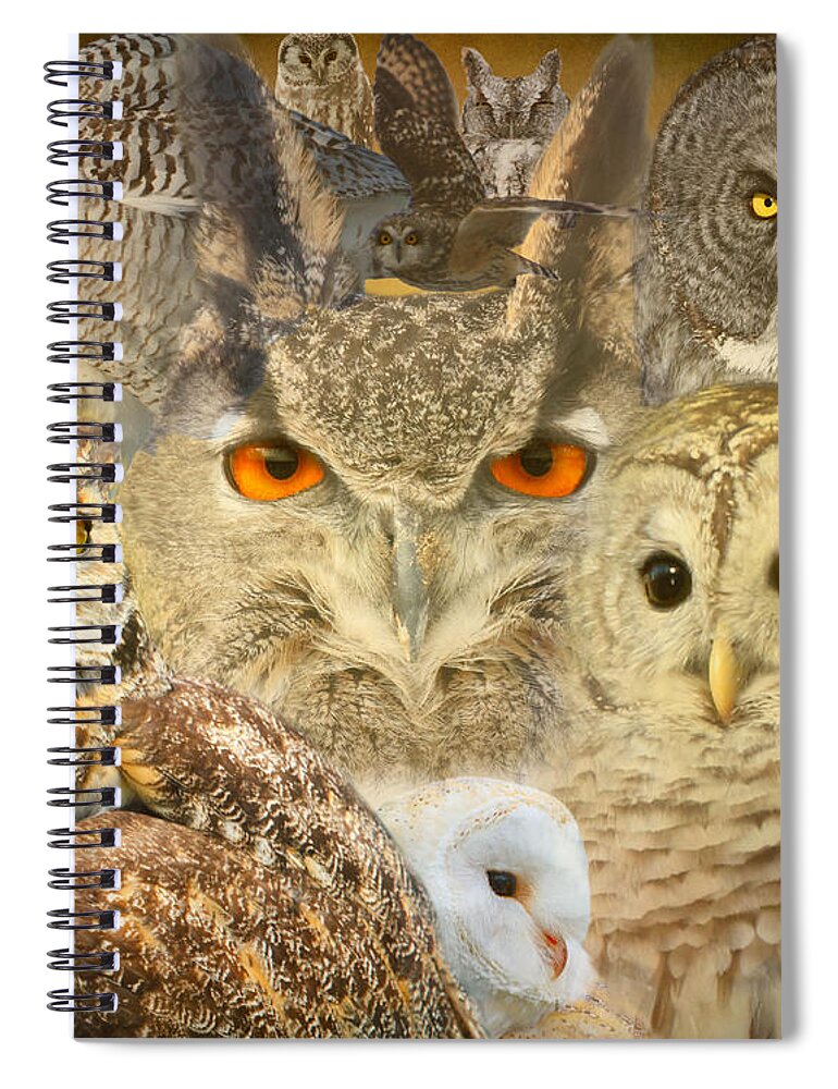 Owls Spiral Notebook featuring the photograph OWL you need is LOVE by Heather King