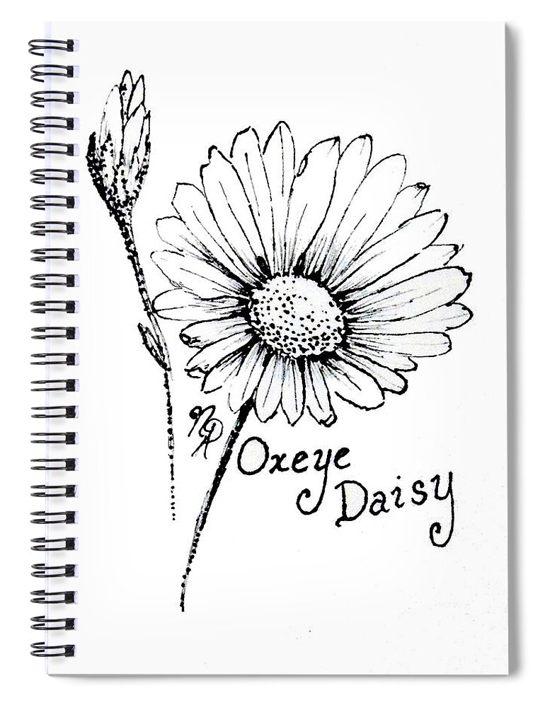 Oxeye Spiral Notebook featuring the drawing Oxeye Daisy by Nicole Angell