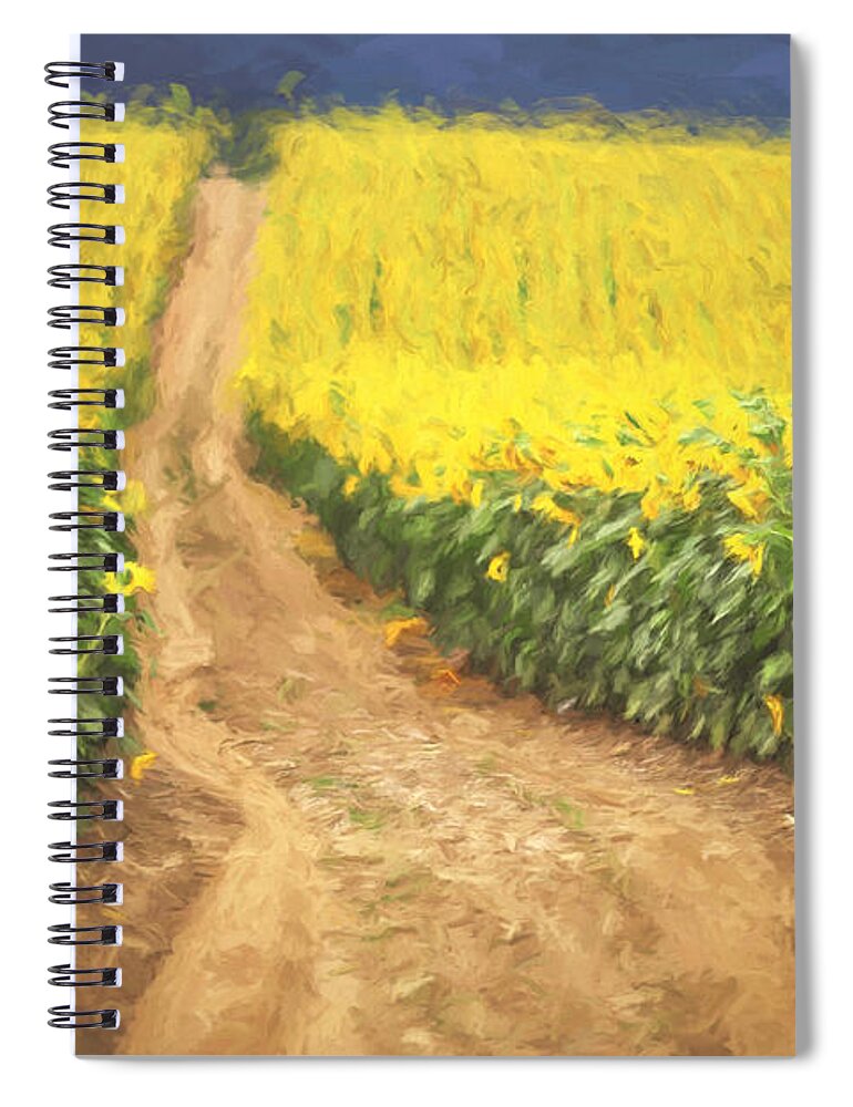 Summer Spiral Notebook featuring the photograph Oz Painting 2 by Carrie Ann Grippo-Pike