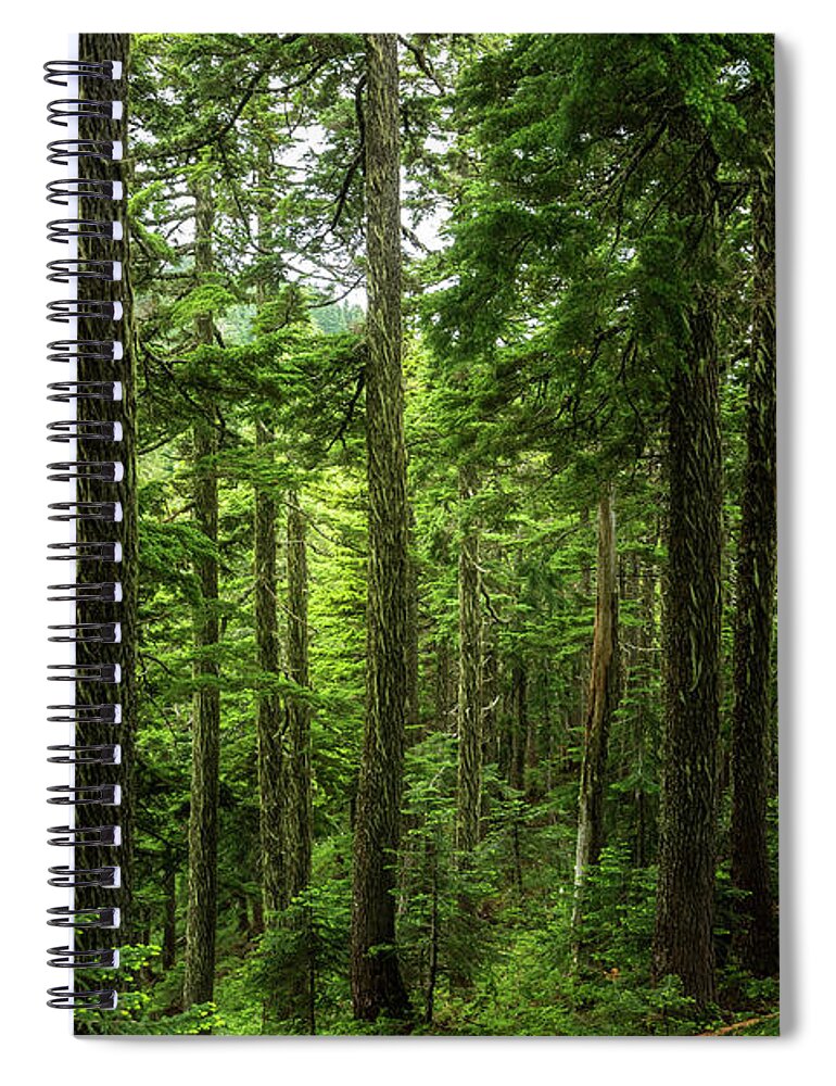 Scenic Spiral Notebook featuring the photograph Pacific Northwest Forest by Pelo Blanco Photo