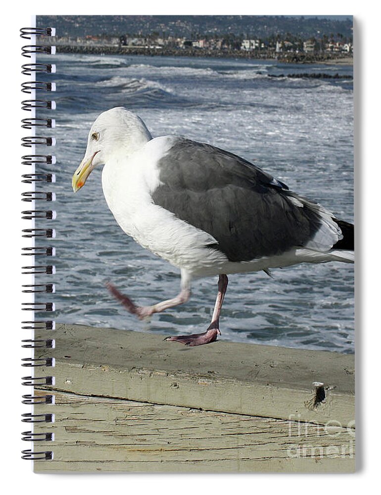 Seagull Spiral Notebook featuring the photograph Pacing by Kelly Holm