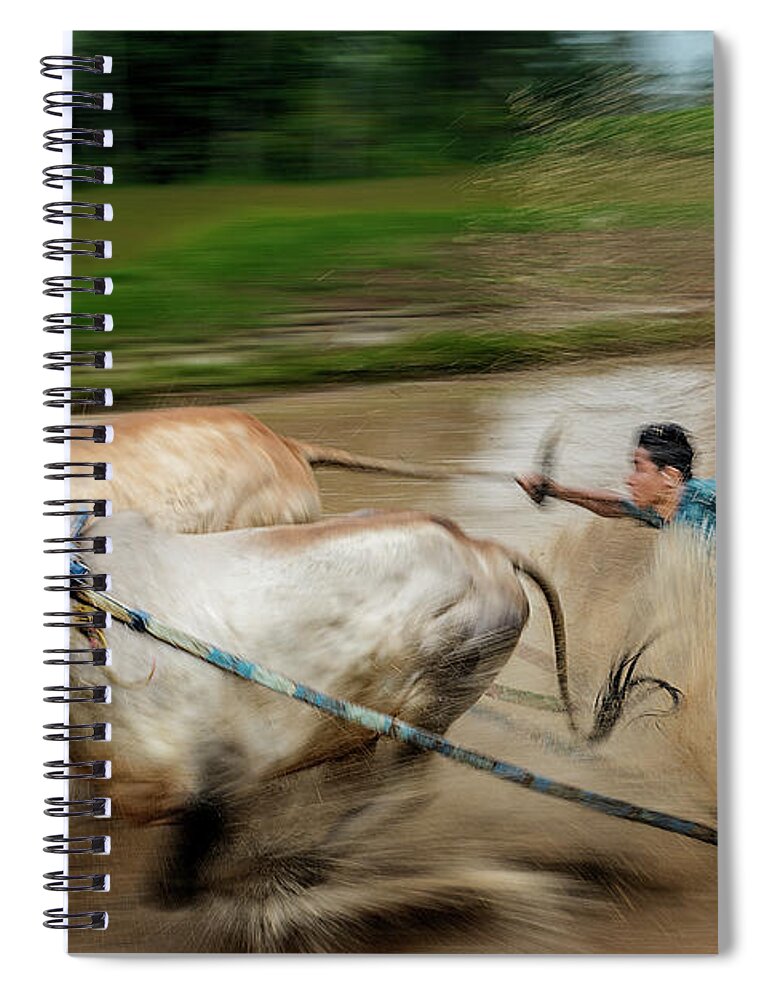 Animal Spiral Notebook featuring the photograph Pacu Jawi Bull Race festival by Pradeep Raja Prints