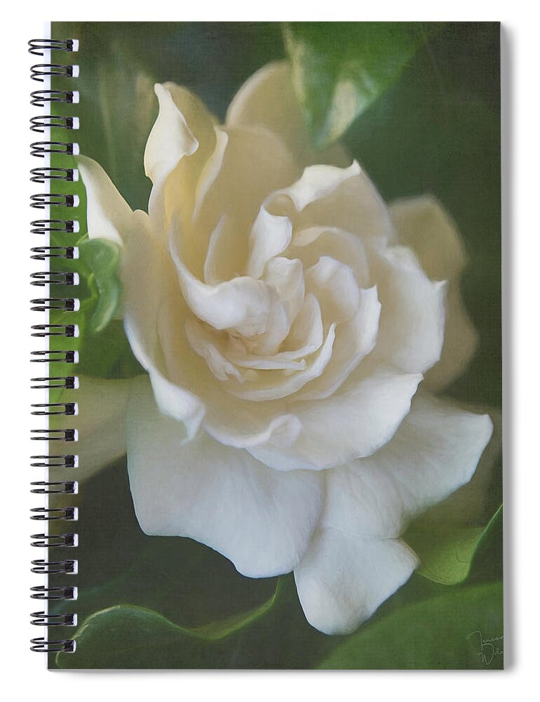 Gardenia Spiral Notebook featuring the digital art Painted Gardenia Blossom by Teresa Wilson